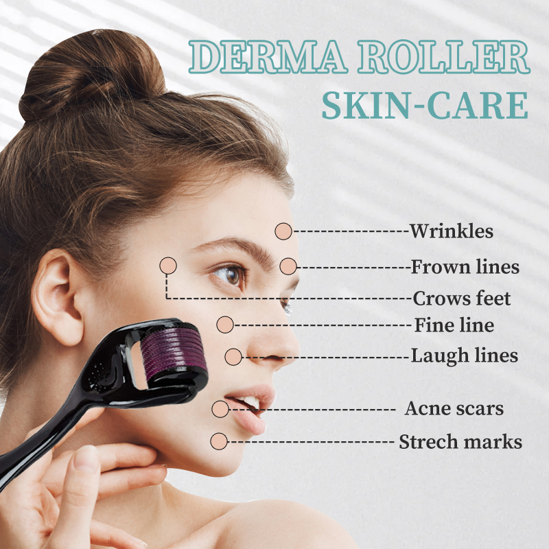 Professional 540 Roller Derma  - Derma Roller 0.25 review and price