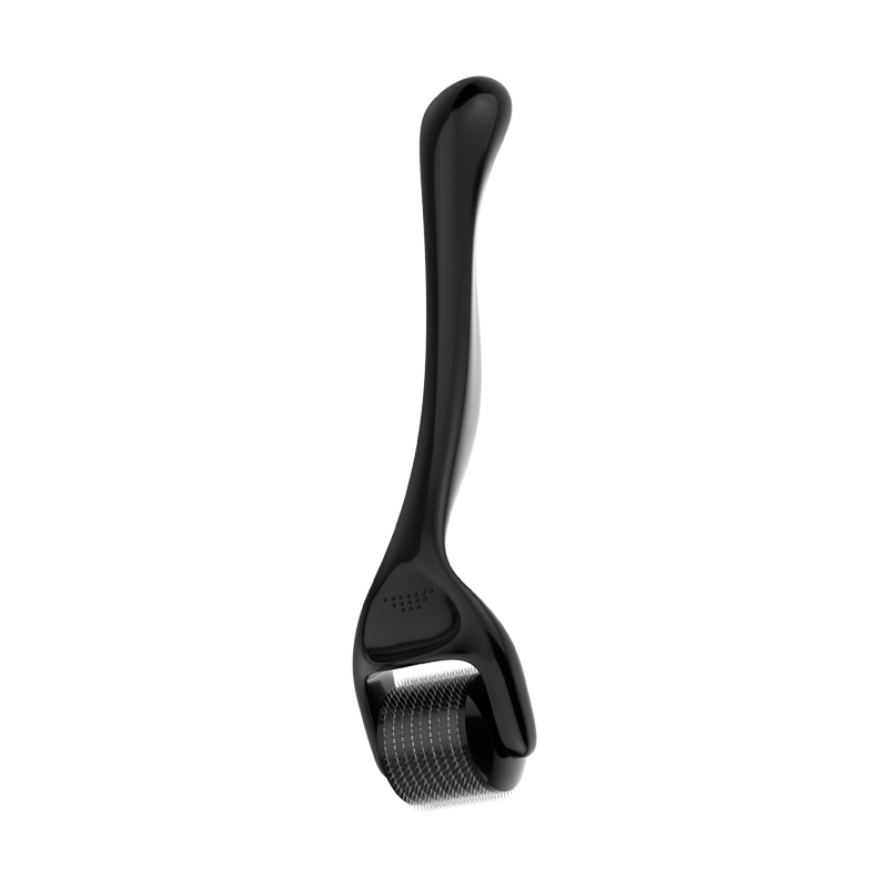 Professional Micro Needle 540  - Derma Roller 0.25 review and price